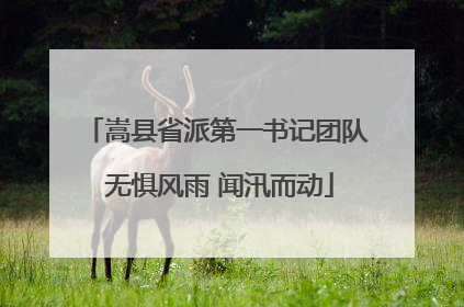 嵩县省派第一书记团队 无惧风雨 闻汛而动