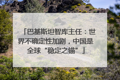 巴基斯坦智库主任：世界不确定性加剧，中国是全球“稳定之锚”