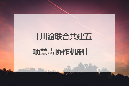 川渝联合共建五项禁毒协作机制