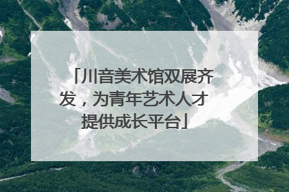 川音美术馆双展齐发，为青年艺术人才提供成长平台