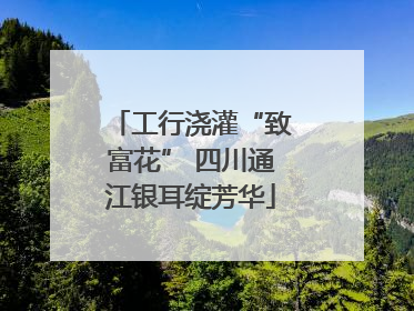 工行浇灌“致富花” 四川通江银耳绽芳华