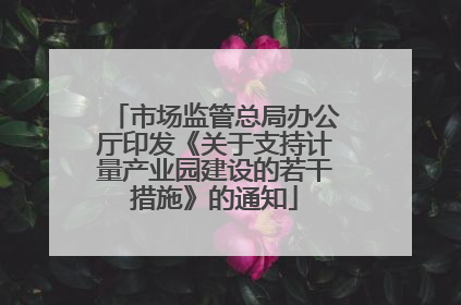 市场监管总局办公厅印发《关于支持计量产业园建设的若干措施》的通知