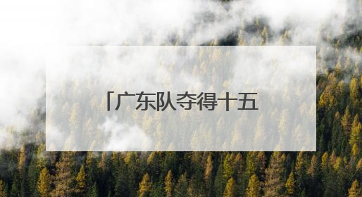 广东队夺得十五运会群众七人足球赛佛山赛区首金