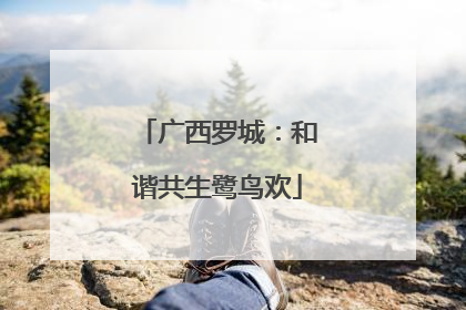 广西罗城：和谐共生鹭鸟欢