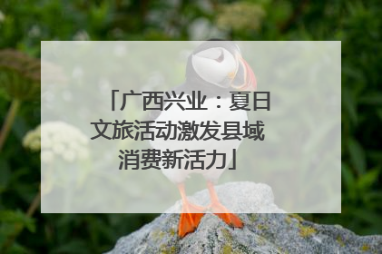 广西兴业：夏日文旅活动激发县域消费新活力
