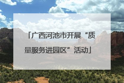 广西河池市开展“质量服务进园区”活动