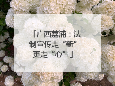 广西荔浦：法制宣传走“新”更走“心”