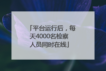 平台运行后，每天4000名检察人员同时在线