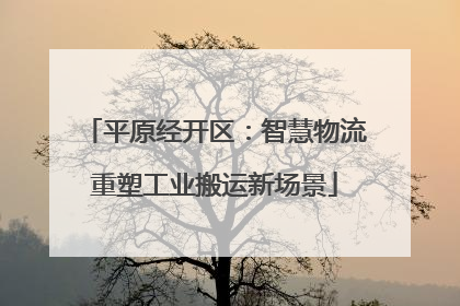 平原经开区：智慧物流重塑工业搬运新场景