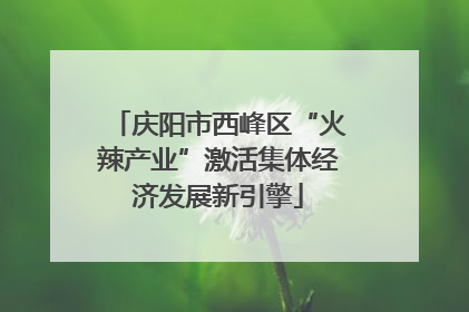 庆阳市西峰区“火辣产业”激活集体经济发展新引擎