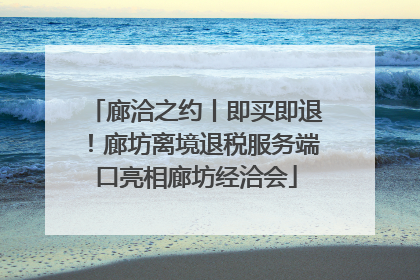 廊洽之约丨即买即退！廊坊离境退税服务端口亮相廊坊经洽会