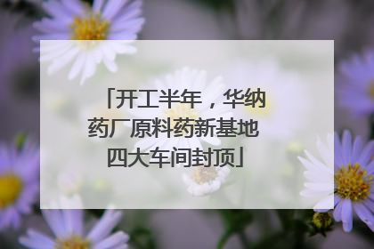 开工半年，华纳药厂原料药新基地四大车间封顶