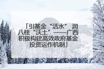 引基金“活水” 润八桂“沃土”——广西积极构建高效政府基金投资运作机制