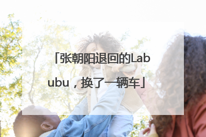 张朝阳退回的Labubu，换了一辆车