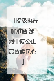 提级执行解难题 漯河中院公正高效暖民心