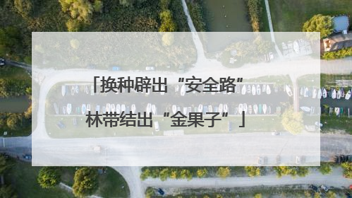 换种辟出“安全路” 林带结出“金果子”