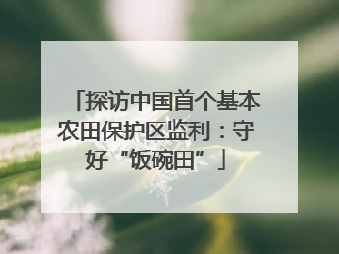 探访中国首个基本农田保护区监利：守好“饭碗田”