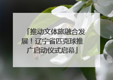 推动文体旅融合发展！辽宁省匹克球推广启动仪式启幕