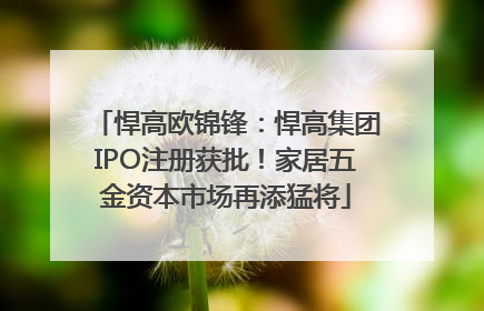 悍高欧锦锋：悍高集团IPO注册获批！家居五金资本市场再添猛将
