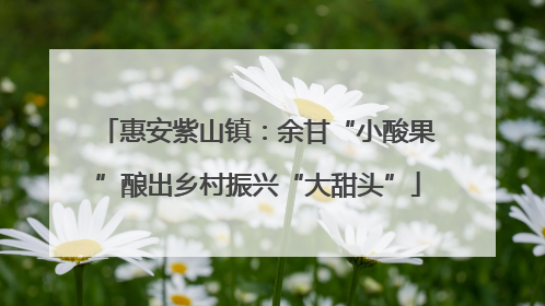 惠安紫山镇：余甘“小酸果”酿出乡村振兴“大甜头”