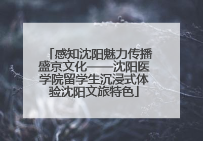 感知沈阳魅力传播盛京文化——沈阳医学院留学生沉浸式体验沈阳文旅特色