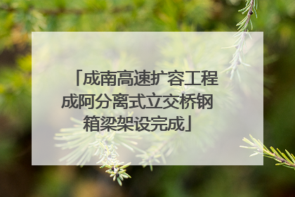 成南高速扩容工程成阿分离式立交桥钢箱梁架设完成