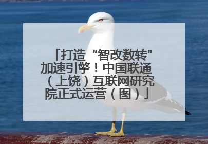 打造“智改数转”加速引擎！中国联通（上饶）互联网研究院正式运营（图）
