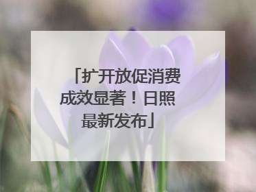 扩开放促消费成效显著！日照最新发布
