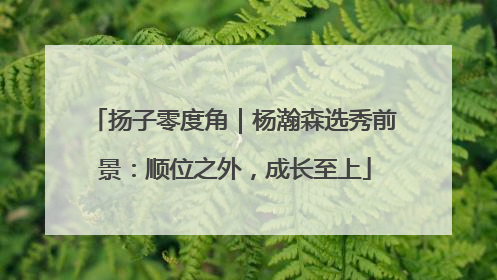扬子零度角｜杨瀚森选秀前景：顺位之外，成长至上