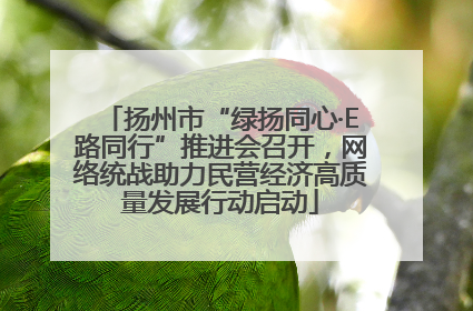 扬州市“绿扬同心·E路同行”推进会召开，网络统战助力民营经济高质量发展行动启动