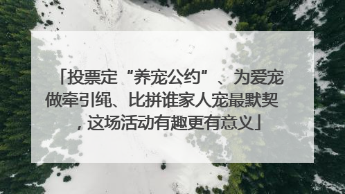 投票定“养宠公约”、为爱宠做牵引绳、比拼谁家人宠最默契，这场活动有趣更有意义