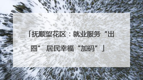 抚顺望花区：就业服务“出圈” 居民幸福“加码”