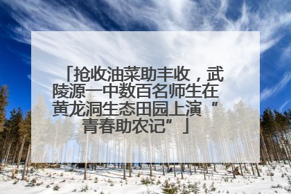 抢收油菜助丰收，武陵源一中数百名师生在黄龙洞生态田园上演“青春助农记”