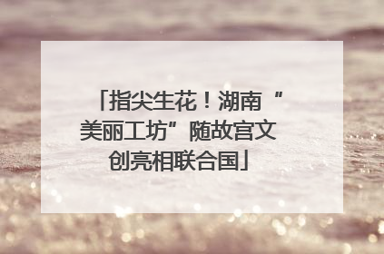 指尖生花！湖南“美丽工坊”随故宫文创亮相联合国