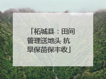柘城县：田间管理送地头 抗旱保苗保丰收