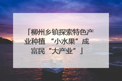 柳州乡镇探索特色产业种植 “小水果”成富民“大产业”