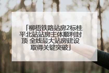 柳梧铁路站房2标桂平北站站房主体顺利封顶 全线最大站房建设取得关键突破