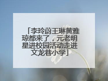 李玲蔚王琳黄雅琼都来了，元老明星进校园活动走进文龙巷小学