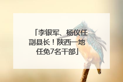 李银军、杨仪任副县长！陕西一地任免7名干部