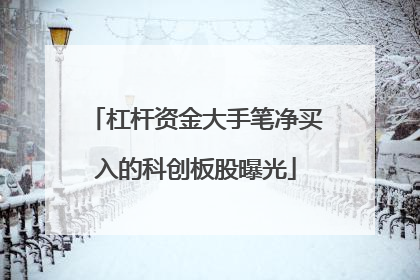 杠杆资金大手笔净买入的科创板股曝光