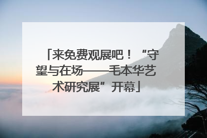 来免费观展吧！“守望与在场——毛本华艺术研究展”开幕