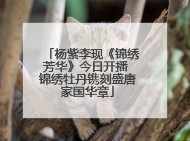 杨紫李现《锦绣芳华》今日开播 锦绣牡丹镌刻盛唐家国华章