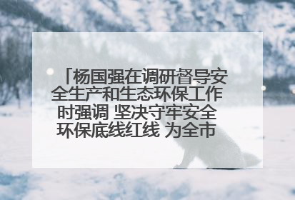 杨国强在调研督导安全生产和生态环保工作时强调 坚决守牢安全环保底线红线 为全市经济社会高质量发展提供坚强保障