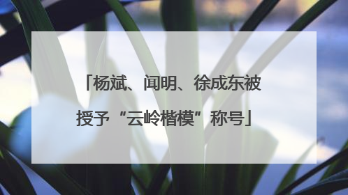 杨斌、闻明、徐成东被授予“云岭楷模”称号