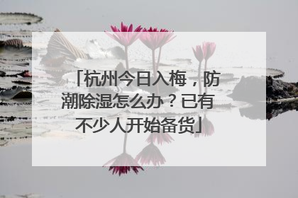 杭州今日入梅，防潮除湿怎么办？已有不少人开始备货
