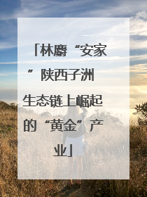 林麝“安家”陕西子洲 生态链上崛起的“黄金”产业