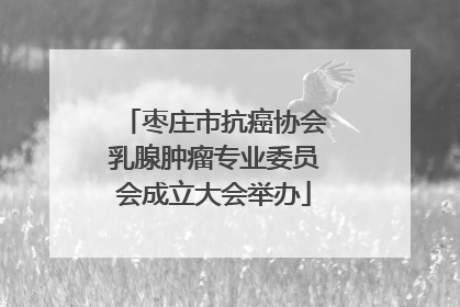 枣庄市抗癌协会乳腺肿瘤专业委员会成立大会举办