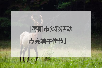 枣阳市多彩活动点亮端午佳节