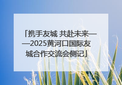 携手友城 共赴未来——2025黄河口国际友城合作交流会侧记