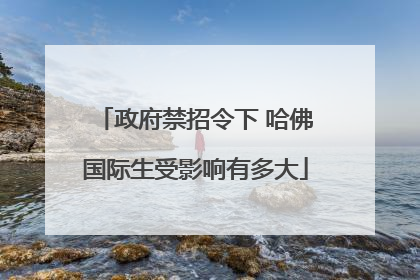 政府禁招令下 哈佛国际生受影响有多大